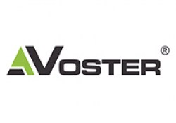 voster